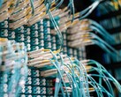 Câbles à fibre optique bleus dotés de connecteurs blancs branchés sur un panneau de raccordement dans un centre de données
