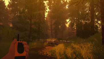 Une image montrant une forêt dans Firewatch.