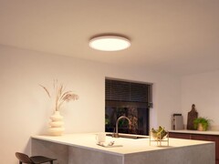 Le plafonnier Philips Hue Devote (photo) est arrivé en Europe. (Source : Philips Hue)