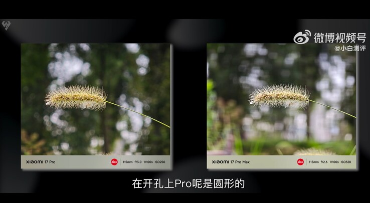 Xiaomi 17 Pro vs Xiaomi 17 Pro Max : Comparaison de la photo macro prise avec un téléobjectif 5x