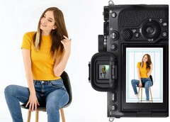 Sony présente les grilles personnalisées comme une solution pour les photographes travaillant dans des lieux tels que les bateaux de croisière, les parcs d'attractions, les écoles et les studios de photo d'identité. (Source de l'image : Sony)