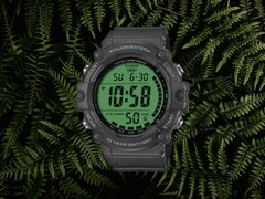 Les montres Casio Standard AE-1500 (photo) ont fait leur apparition chez David et Philly. (Source de l&#039;image : David et Philly, édité)