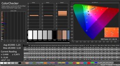 CalMAN : ColorChecker (calibré)