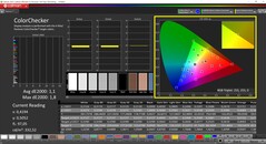 CalMAN ColorChecker (profil sRGB, espace colorimétrique cible sRGB)