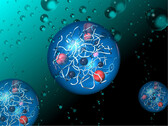 Des complexes fonctionnels dans des polymères reproduisent le processus de la photosynthèse naturelle. (Source de l'image : K.Okeyoshi/JAIST)