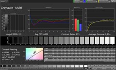 CalMAN Niveaux de gris