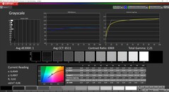 CalMAN niveaux de gris calibrés