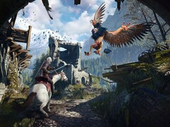 Image du jeu The Witcher 3: Wild Hunt. (Source de l&#039;image : Steam)