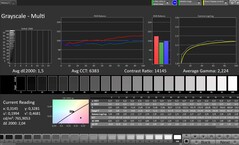 Niveaux de gris (profil : Professionnel, espace couleur cible : sRGB)