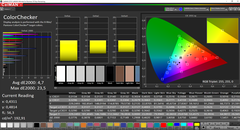 Lenovo ThinkPad L590 - CalMAN : ColorChecker - Après calibrage.