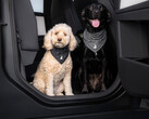 Bandana « Dog Mode » de Tesla