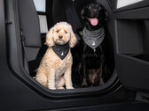 Bandana « Dog Mode » de Tesla