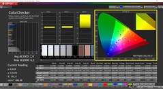 CalMAN ColorChecker (espace colorimétrique cible : P3)