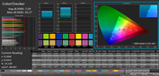 ColorChecker (profile: Cinema, target color space: sRGB)