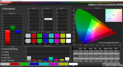 Color space coverage (CalMAN, target color space sRGB)