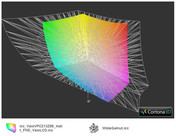 ICC Vaio Z13Z9E vs WideGamut (t)