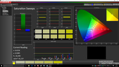 CalMAN - Color saturation (calibrated)