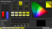 CalMAN: Saturation Sweeps (calibré)