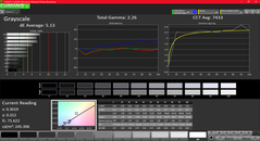 Echelle de gris avant calibration