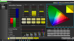 CalMAN - Saturation Sweeps (calibrated)