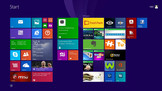 Microsoft Windows 8.1 (64-bit) est préinstallé.