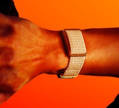 Polar fait concurrence à Whoop avec un bracelet léger qui ne nécessite pas d&#039;abonnement. (Source de l&#039;image : Polar)