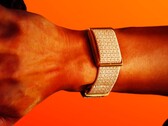 Polar fait concurrence à Whoop avec un bracelet léger qui ne nécessite pas d'abonnement. (Source de l'image : Polar)