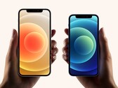 Jusqu'à présent, l'iPhone 12 mini n'a pas été bien accueilli par les gens, contrairement au reste de la série des iPhone 12. (Source de l'image : Apple)