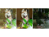 Le module externe Camera Raw d'Adobe supprime désormais les reflets sur les surfaces en verre (Image Source : Adobe)