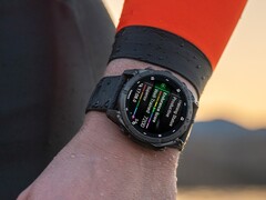 Certaines smartwatches Garmin Fenix 8 présenteraient des problèmes liés à l'eau froide. (Source : Garmin)