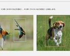 Ces deux photos, parmi d'autres sur la page produit du Lumix S9, ont déclenché la controverse (Source de l'image : Panasonic)