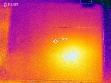 Carte thermique du dos