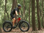 Le vélo électrique Vanpowers GrandTeton-Pro est équipé d'un moteur de 750W. (Source de l'image : Vanpowers)