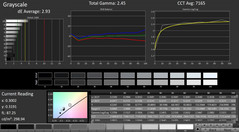 Asus ROG Chimera G703GI - CalMAN : Échelle de gris.