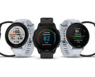 La Forerunner 955 existe en version à quartz et en version solaire. (Image source : Garmin)