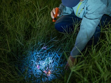 L'Olight ArkPro Ultra est équipé d'une lampe UV permettant de détecter les taches organiques.
