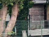 1.600 mm - Téléconvertisseur 
