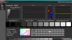 Niveaux de gris avant calibration (vs. P3)