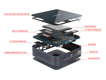 Organisation interne (image Source : Morefine)