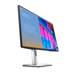 Moniteur Dell UltraSharp U2421E USB-C. (Source de l'image : Dell)