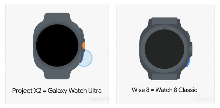 (Source : Android Authority)