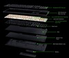 Structure interne de la BlackWidow V4 HyperSpeed TKL (Image source : Razer)