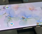 Le Pixel 6 Pro dispose d'une batterie beaucoup plus importante que le fleuron passé du Pixel (source d'image : Norman Rasheed)