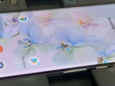 Le Pixel 6 Pro dispose d'une batterie beaucoup plus importante que le fleuron passé du Pixel (source d'image : Norman Rasheed)