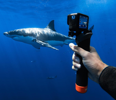 La HERO 10 Black est la dernière caméra d'action de GoPro. (Image source : GoPro)