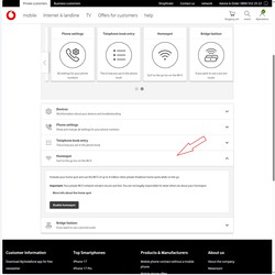 Désactiver le Homespot