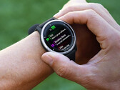 Le Venu 2 a reçu sa première mise à jour bêta depuis fin 2023. (Source de l'image : Garmin)
