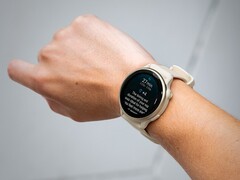 La smartwatch Garmin vivoactive 6 reçoit sa première mise à jour bêta. (Source de l&#039;image : Garmin)