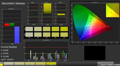 Medion Erazer X6805 - CalMAN : Saturation.