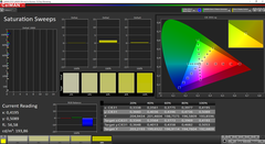 CalMAN Saturation Sweeps calibré